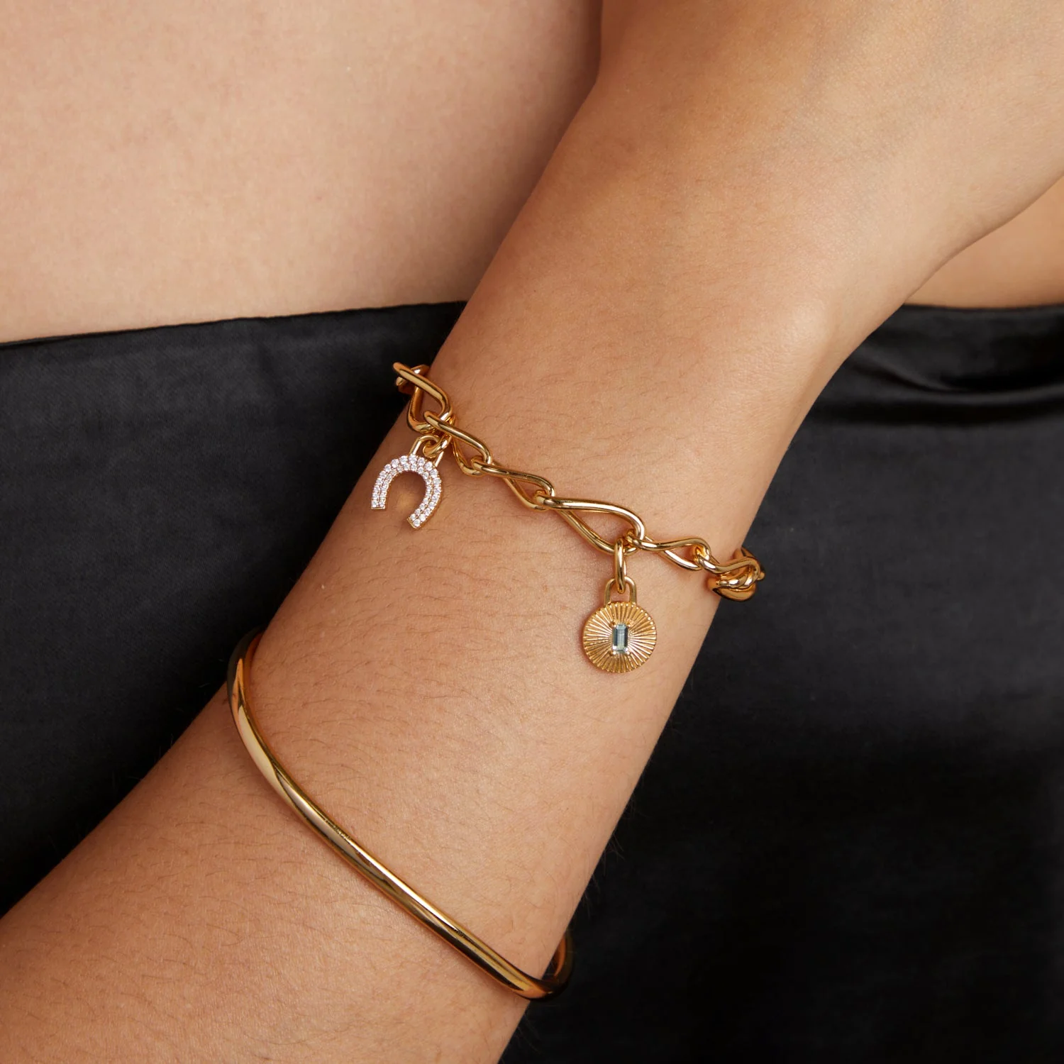 Horseshoe Clip Charm in Gold - Image 5